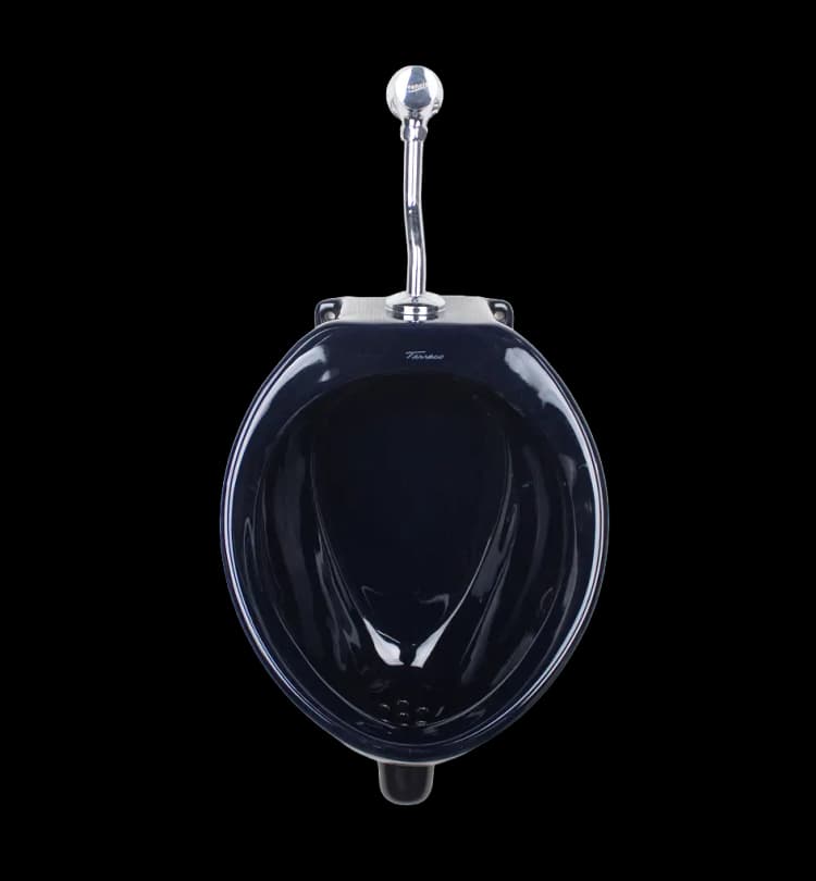 Imagen de urinario chico principal