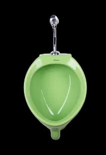 Imagen de urinario chico secundaria 1