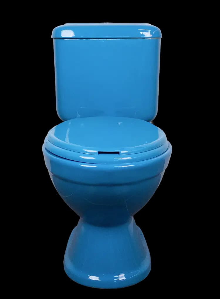 Imagen de sanitario modelo Minos principal