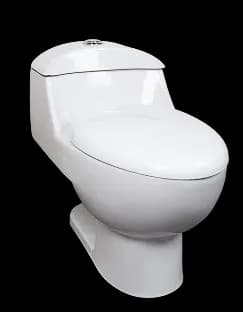 Imagen de sanitario modelo One Piece secundaria 3